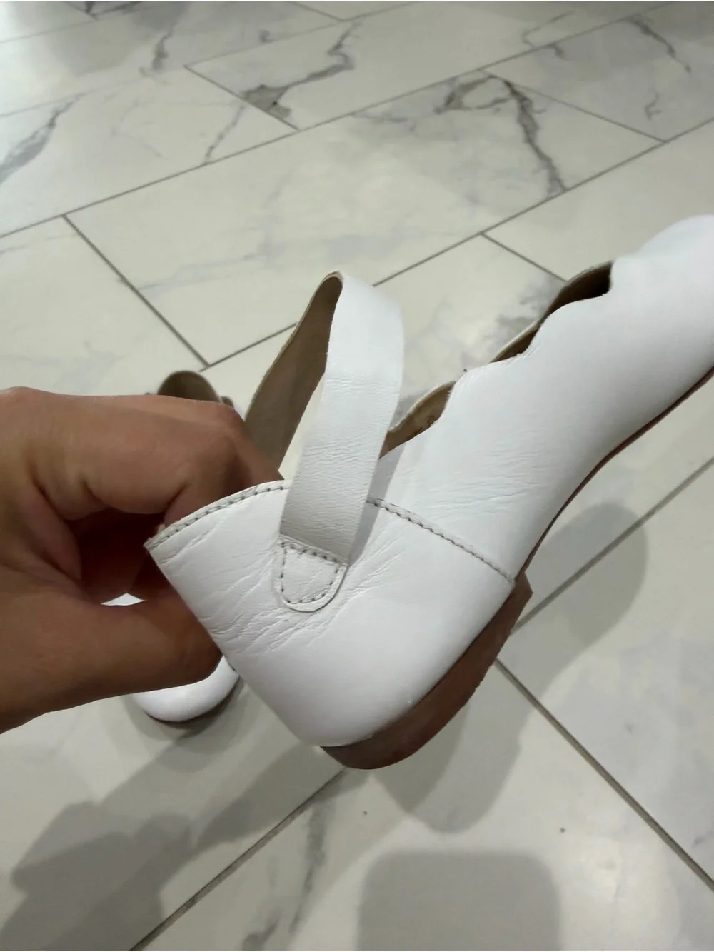 Elephantito cute white